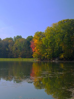 Kendall Lake Fall Colors.jpg