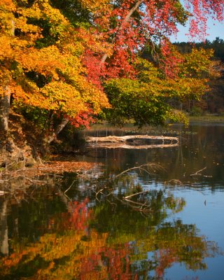 Kendall Lake Fall Colors2.jpg