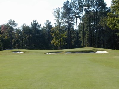 #15 Green Approach (Par 5)
