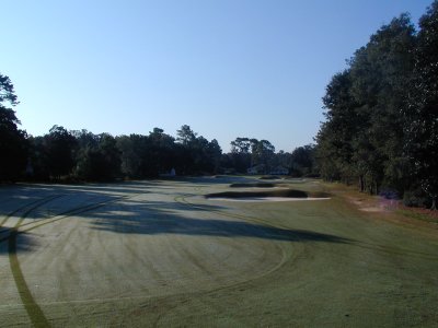 10 Tee Shot.JPG