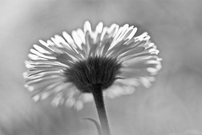 IMG_8639