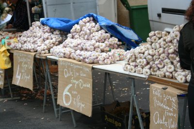 Garlic Stand