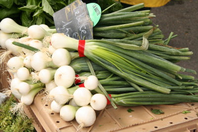 Giant spring onions