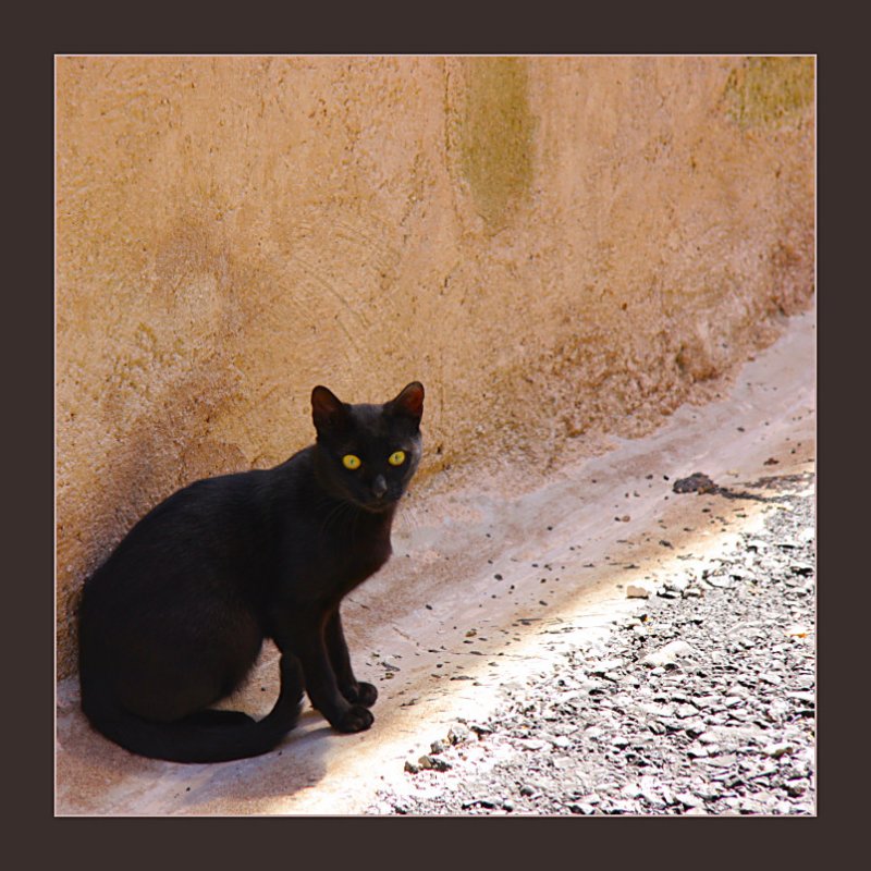 looking for shade