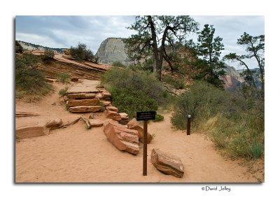 Trail to Angel's Landing , Scout Lookout