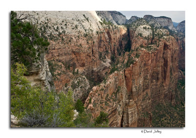 View of The Trail to Angel's Landing