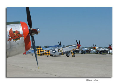P-51's On Display
