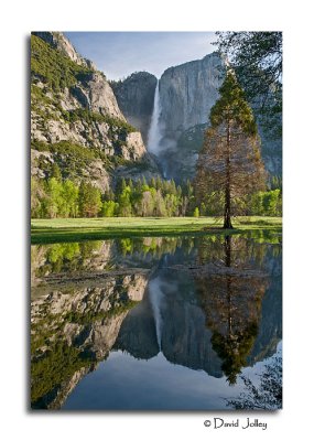 Yosemite Falls Gallery- CLICK  to ENTER