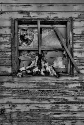 Old Window