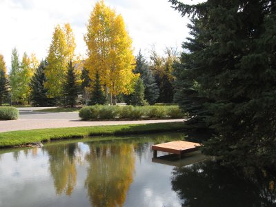 Sun Valley 16.jpg