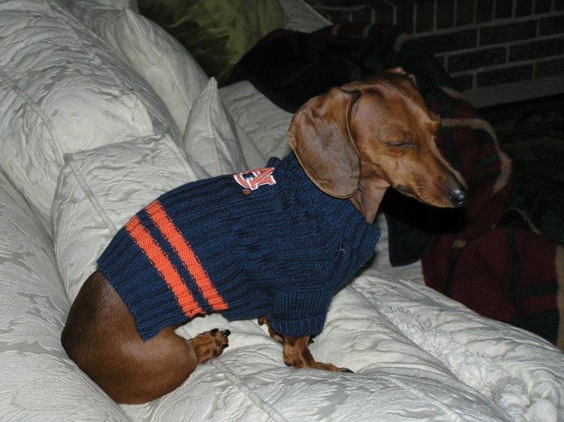 I CANT LOOK. AUBURN IS LOSING AGAIN!