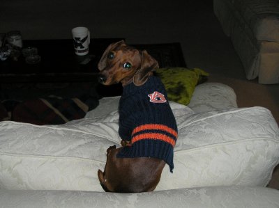 QUIT TAKING PICTURES AND WATCH THE GAME, IDIOT.