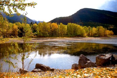 Autumn Reflections