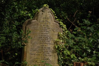 DSC_0749.JPG