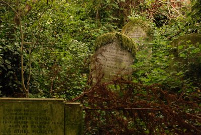 DSC_0803.JPG