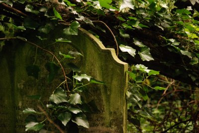 DSC_0822.JPG