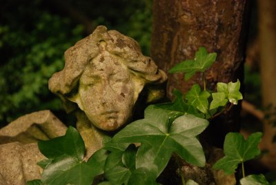 DSC_0940.JPG