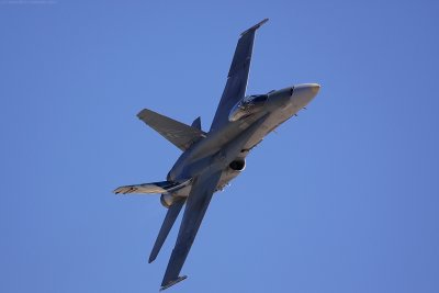 IMG_7954-2.jpg