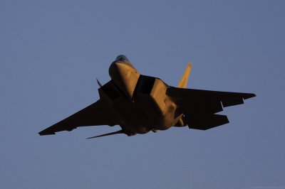IMG_8202.jpg
