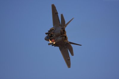 IMG_8208.jpg