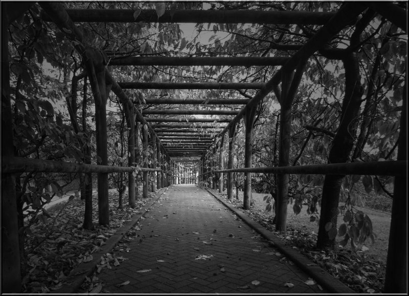 West Park