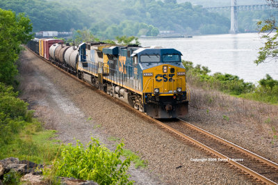 Q439 at Iona Island