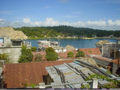 flores.JPG