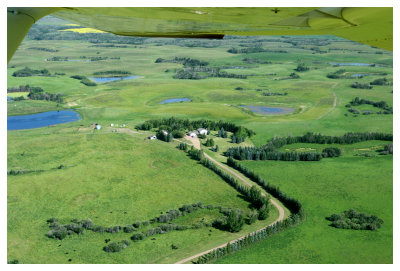 Pheasantback Estates
