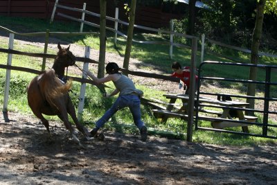 IMG_0388.jpg