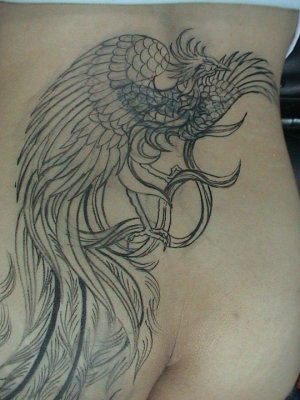 COVER UP - Phoenix