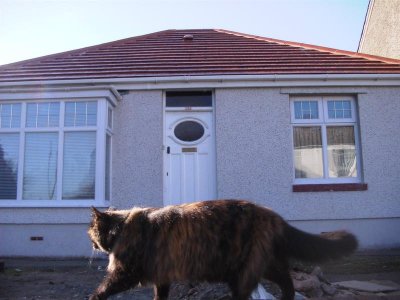 049 Patrolling the front wall 2 March 2003