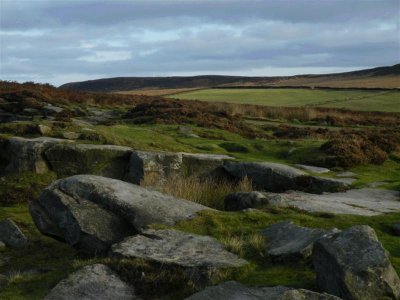 Big Moor