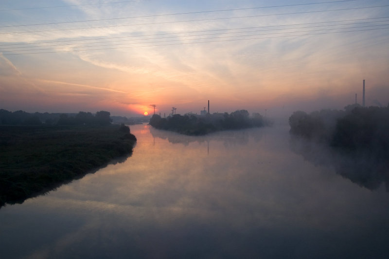 sunrice 5