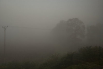 foggy morning on train 3