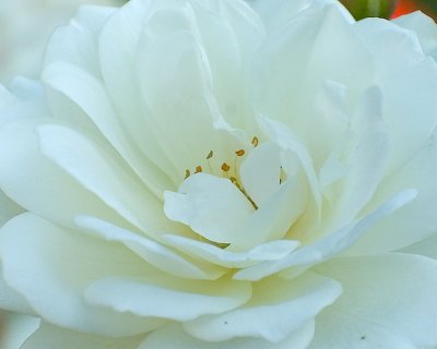 g5/70/516170/3/68345073.r7YsBTIp.jpg