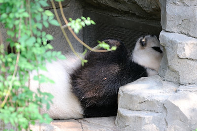 National Zoo