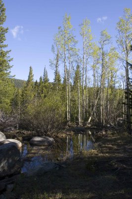 Alberta Falls Hike - Rocky Mountain National Park