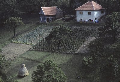 Bosnian farm