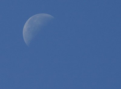 IMG_1349m.jpg