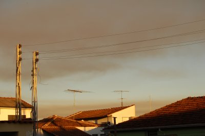 Roofs at Sunset