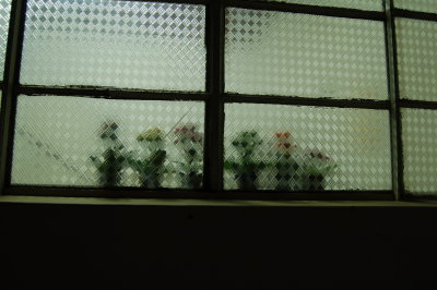 Windowsill Flowers II