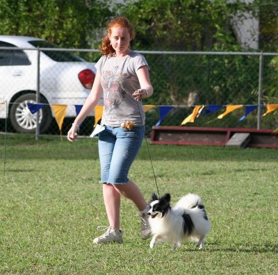 Barbados Kennel Club Dog Show