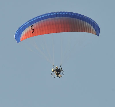 APCO Powered Paragliding/Paramotoring