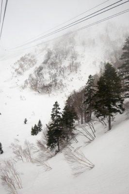 DSC_8768.jpg