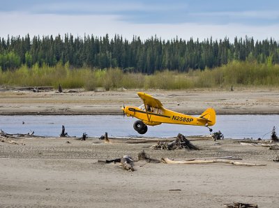 Piper Super Cub with Tundra Tires