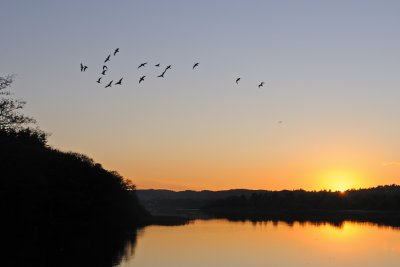 Silkeborg Langs West Basin Autumn 01