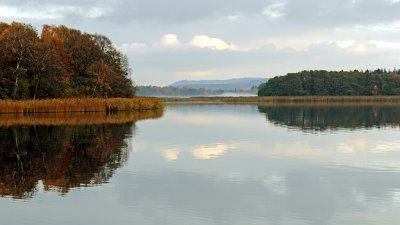 Bass towards Himmelbjerget fall 2009 1