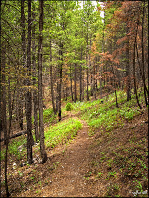 Hiking the Gates