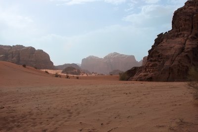 IMG_5856edp1.jpg