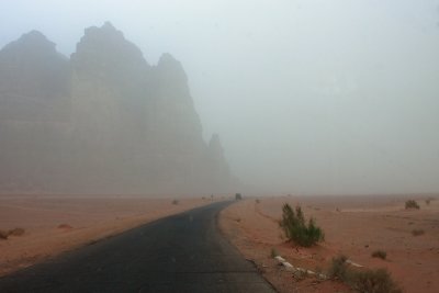 IMG_5872bedp1.jpg